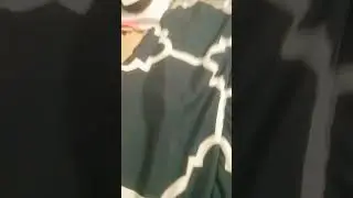 grey schnapped