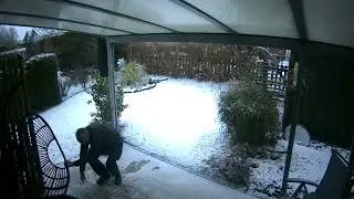 Wenn es dem Esel zu gut geht, geht er aufs Eis tanzen.