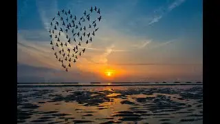 Song for the Celtic Harp- Rising of the Lark (Welsh Traditional) #harp #wales #welshmusic