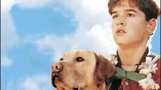 Far from Home: The Adventures of Yellow Dog Full Movie Verdict And Information | Mimi Rogers | Jesse