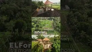 Your own jungle villa in one of Bali&rsquo;s best districts