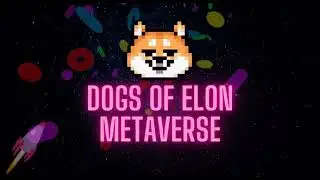 DOGS OF ELON