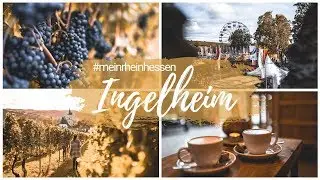 INGELHEIM AM RHEIN - Sehensw&uuml;rdigkeiten, Rotweinfest, Essens- & Insider Tipps