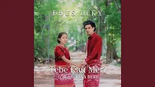 Tebe Kau Meri 4 (feat. Rina Bere)