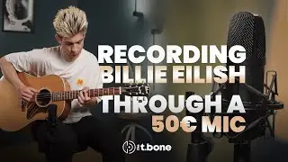 Birds of a feather recorded using a budget microphone | the t.bone