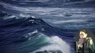 휴앤뮤 Live 