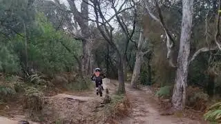 Eatons Cutting Morning Ride #mtb #mtbbikes #mountainbiketrails #mtblife