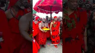 Ga Mantse in his element at Ga Homowo festival celebration, 2025 #shortvideo #shortsfeed