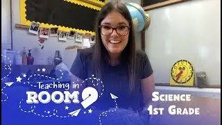 Sun and Moon: Moon Phases and Constellations | 1st Grade Science | Teaching In Room 9