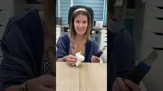 CUT UP THE UNICORN AND INSIDE