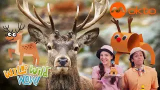 WILD REINDEER FACTS 🦌✨ CRAFT ADVENTURE | Wild Wild Wow S3E09B | @mediacorpokto