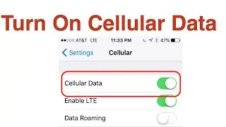 Turn On Cellular Data On iPhone
