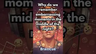Why do we remember embarrassing moments in the middle of the night?