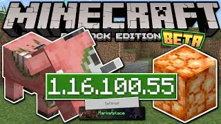 Minecraft Bedrock BETA 1.16.100.55 ✅ OUT NOW ! New Experimental [ Change Log ] MCPE / Xbox / Windows