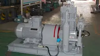 Oil-free BOG compressor
