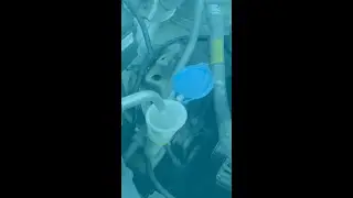 Eco Tank Makes headlines!