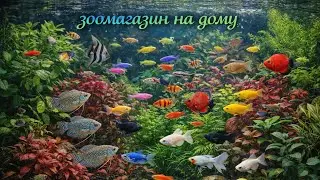 Бизнес на дому💥💥💥Как хобби переросло в бизнес🔥🔥🔥