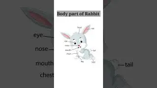 #body part of rabbit #rabbit#learn #kindergarten #preschool #viral #viralvideo #shorts #shortsvideo