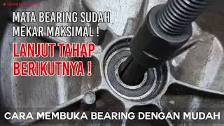 BEARING DISASSEMBLER 5PCS / BEARING 5PCS / TREKER BEARING GRIP-ON