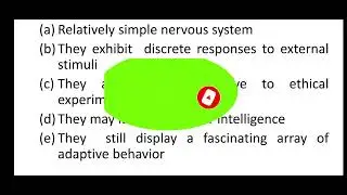 what is insect behaviour , its comparison of insect with vertebrate and innate behaviour