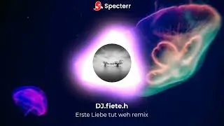 Erste Liebe tut weh remix fiete