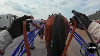 Waregem Koerse 2023 bodycam in the race