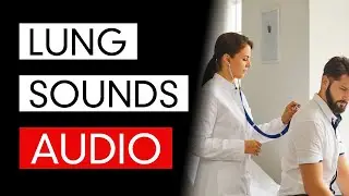 Lung Sounds - Audio (COVID-19 Pneumonia Included)