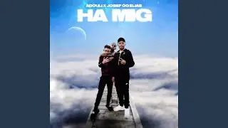 HA MIG