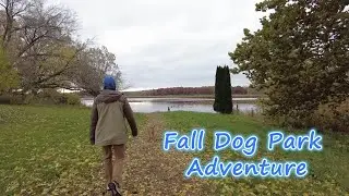 Colorful Leaves and Wagging Tails at the Dog Park