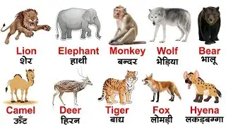 Animals Names | जानवरों के नाम | Animals name in English and Hindi | Animal