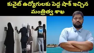 కువైట్ ఉద్యోగులకు పెద్ద షాక్ || Kuwait Ministry Decision On Employees || STV Telugu News