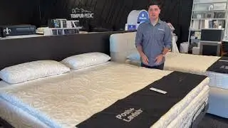 A Look at the Posh & Lavish Providence Line! 💤 | Healthy Zzz's Sit & Sleep