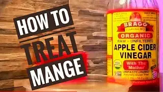 How to treat Scabies / Mange for Cats and Dogs Using APPLE CIDER VINEGAR| Paano gamutin ang galis