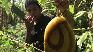 Primitive Technology: Amazing Find Honey Bee For Food In the village