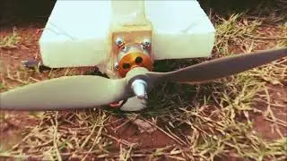 Homemade RC Airplane Curtiss P-40 Kittyhawk Walk Around