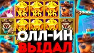 ОЛЛ ИН БОНУСКА ЗАНЕСЛА 1000Х В THE DOG HOUSE DOG OR ALIVE