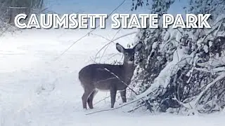 Lloyd Harbor and Caumsett State Park (Snow Activities), Part 3