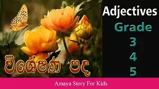 Grade5|grade4|Adjectives |විශේෂණ පද|visheshanapatha|sinhalalesson|sinhalapadam|kidslesson|grade3