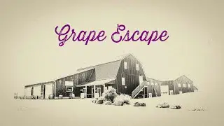 Advertising video for grape escape wine tours