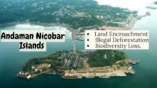 Deforestation in Andaman & Nicobar Islands | Forest Cover Loss, Causes & IMD/ISFR Report Explained