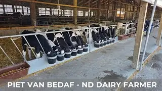 Working on Calf Pens (191)