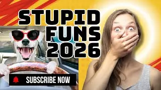 Laugh Out Loud Comedy Friends vs Boring Ones Which is Better for Laughs