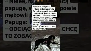 😹😹😹😹
