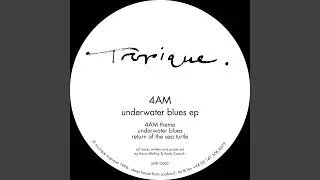 Return of the Sea Turtle (Original Mix)