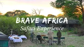 The Brave Africa Safari Experience