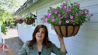 Flower Pillows&trade; Update | Easy, Pre-Planted Solutions for Summer Color