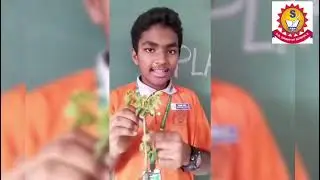 Science Activity @Plant Tissue@Grade-9@SadaShiva International School @Kondapur 