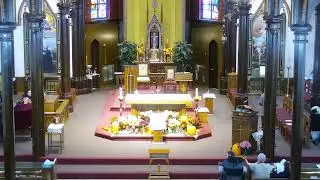 November 9, 2025,Sunday,Feast of the Dedication of the Lateran Basilica in Rome,Holy Mass at 9:30 AM