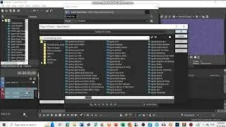 I Have Ignite Pro!