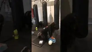 First Aid and CPR training video